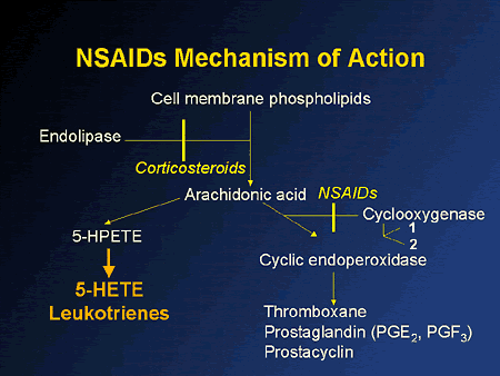 Corticosteroids mode of action asthma
